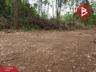 For sale land in Taphan Hin, Phichit
