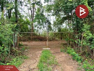 For sale land in Taphan Hin, Phichit