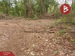 For sale land in Taphan Hin, Phichit