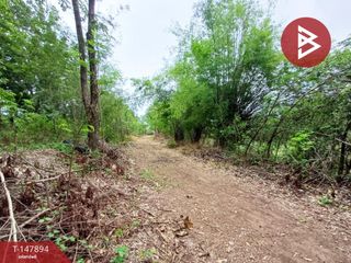 For sale land in Taphan Hin, Phichit