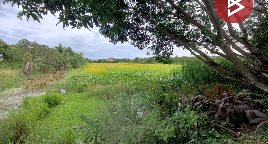 For sale land in Phutthamonthon, Nakhon Pathom