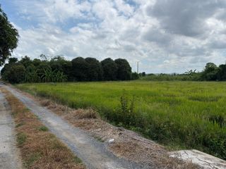ขาย ที่ดิน ใน ไทรน้อย, นนทบุรี