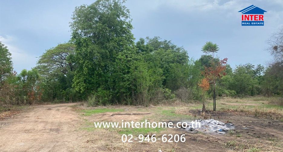 For sale land in Manorom, Chainat