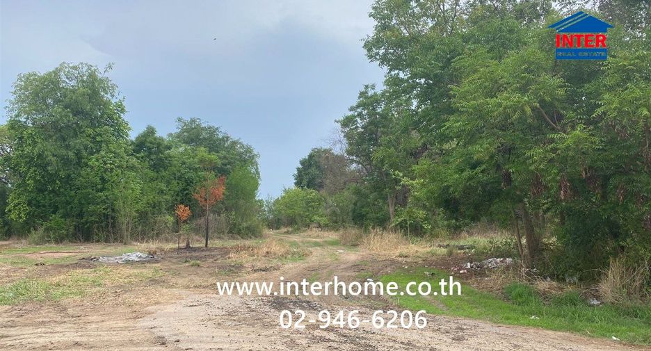 For sale land in Manorom, Chainat