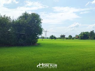 For sale land in Phachi, Phra Nakhon Si Ayutthaya