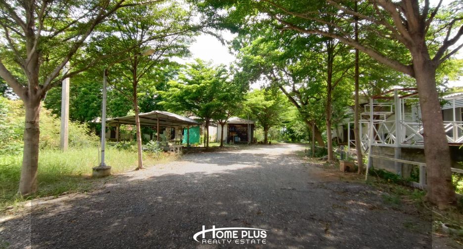 For sale land in Phachi, Phra Nakhon Si Ayutthaya