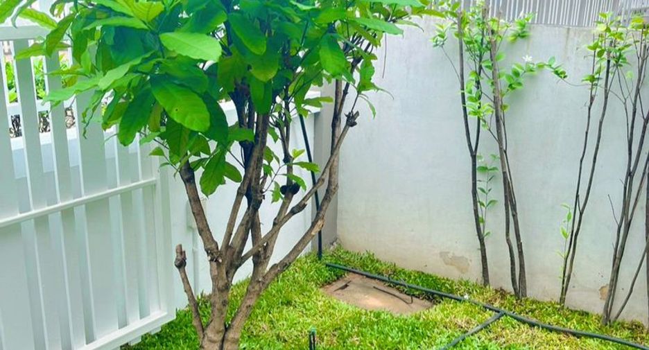 For rent 3 bedrooms house in Si Racha, Chonburi