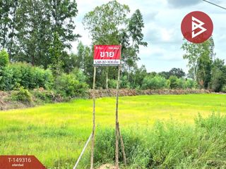 For sale land in Na Dun, Maha Sarakham