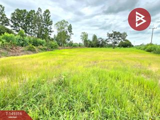 For sale land in Na Dun, Maha Sarakham