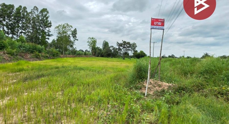 For sale land in Na Dun, Maha Sarakham