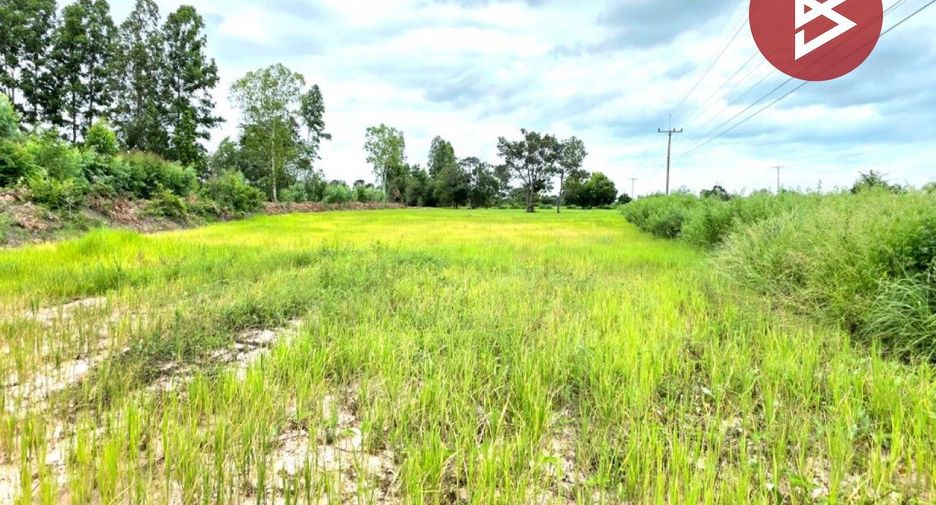 For sale land in Na Dun, Maha Sarakham
