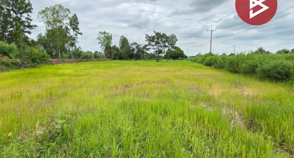 For sale land in Na Dun, Maha Sarakham