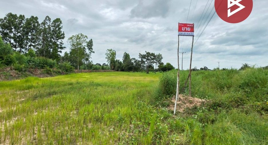 For sale land in Na Dun, Maha Sarakham