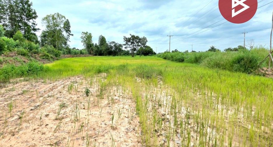 For sale land in Na Dun, Maha Sarakham