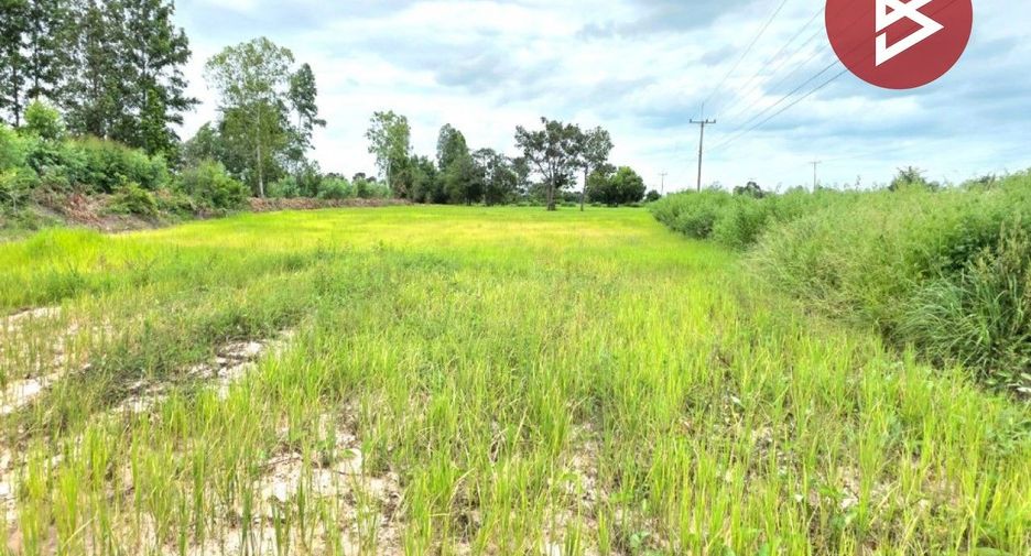 For sale land in Na Dun, Maha Sarakham