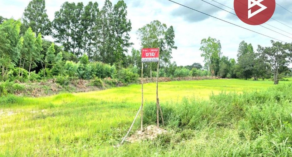 For sale land in Na Dun, Maha Sarakham