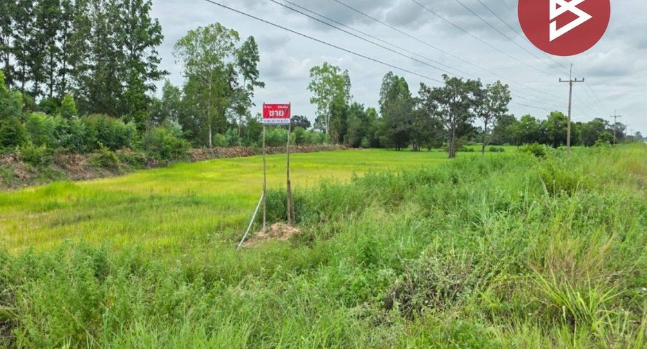 For sale land in Na Dun, Maha Sarakham