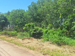 For sale land in Klaeng, Rayong