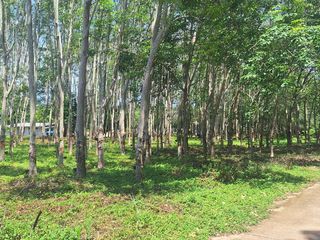 For sale land in Klaeng, Rayong