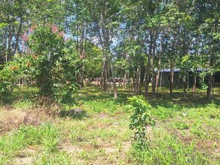 For sale land in Klaeng, Rayong