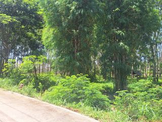 For sale land in Klaeng, Rayong