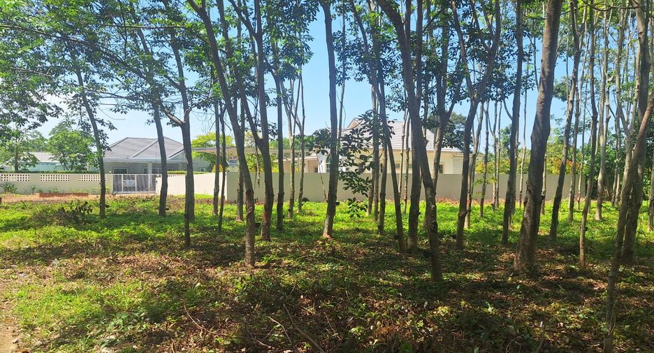 For sale land in Klaeng, Rayong