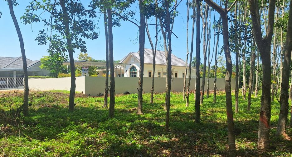 For sale land in Klaeng, Rayong