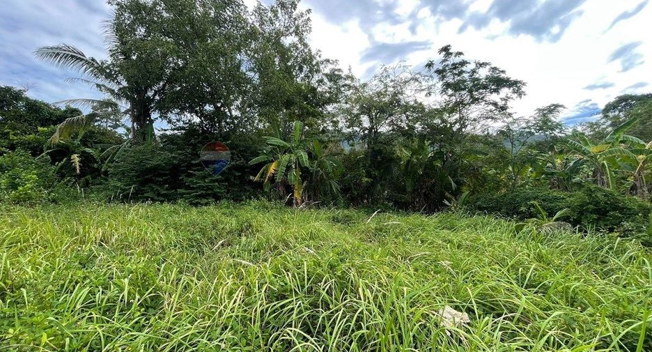 For sale land in Ko Samui, Surat Thani