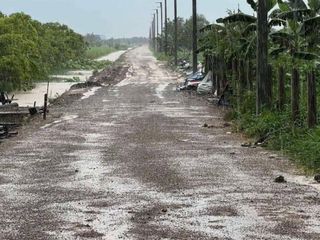 Terreno en venta en Khlong Luang, Pathum Thani