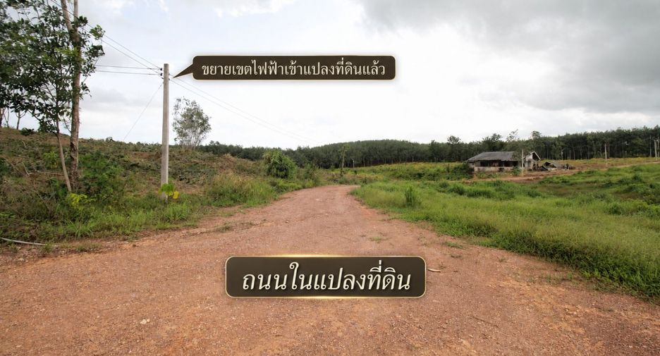 For sale land in Na Yai Am, Chanthaburi