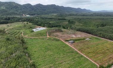 出售 土地 在 Na Yai Am, Chanthaburi