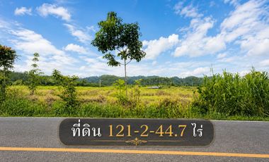 出售 土地 在 Na Yai Am, Chanthaburi