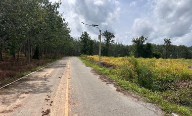 出售 土地 在 Na Yai Am, Chanthaburi