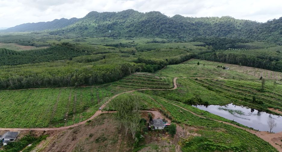For sale land in Na Yai Am, Chanthaburi