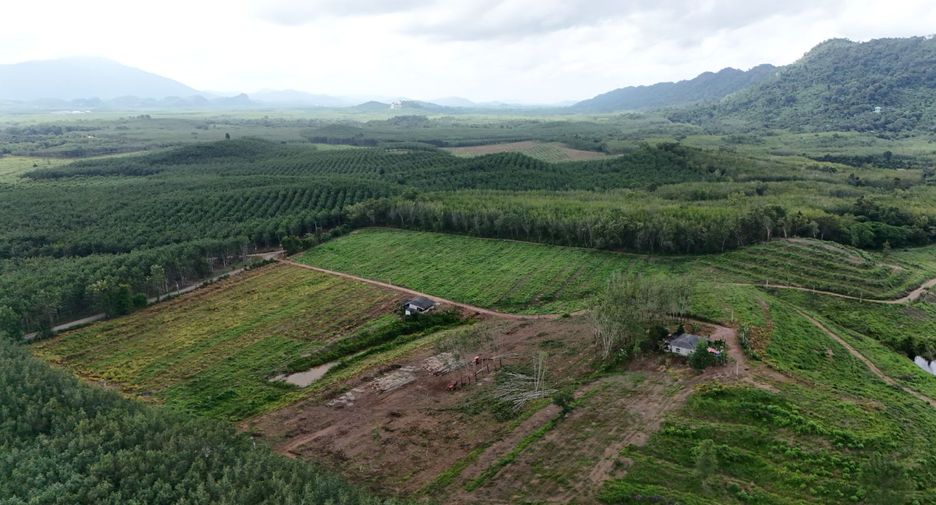 For sale land in Na Yai Am, Chanthaburi