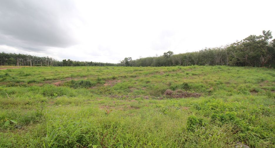 For sale land in Na Yai Am, Chanthaburi
