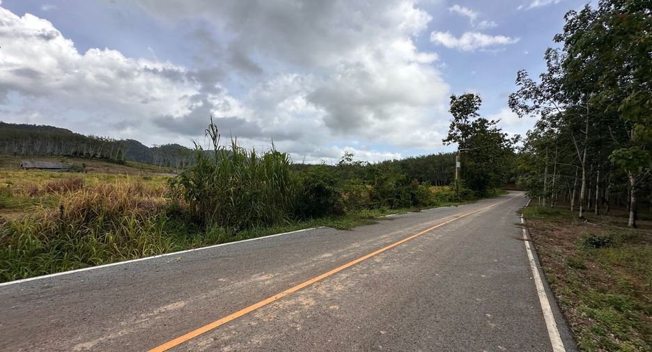 For sale land in Na Yai Am, Chanthaburi