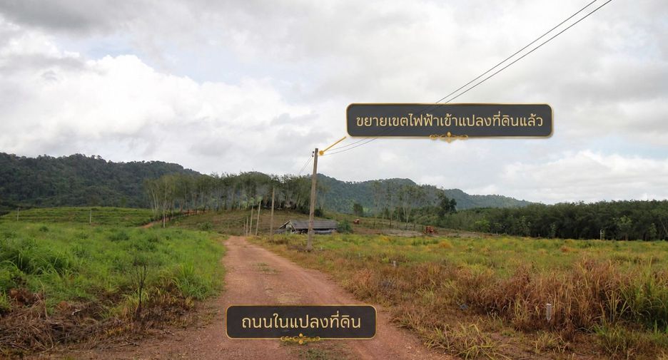 For sale land in Na Yai Am, Chanthaburi