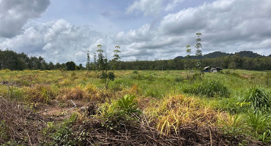 For sale land in Na Yai Am, Chanthaburi