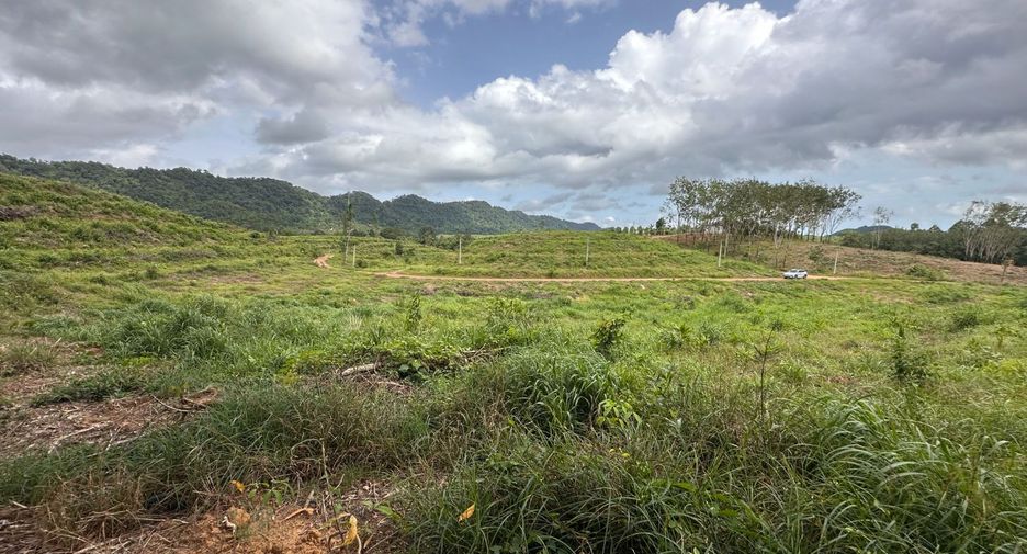For sale land in Na Yai Am, Chanthaburi