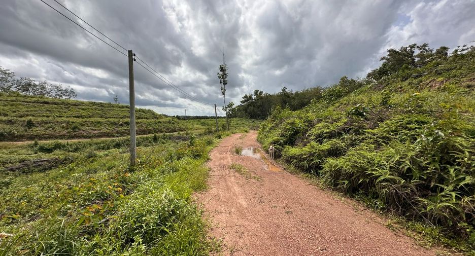 For sale land in Na Yai Am, Chanthaburi