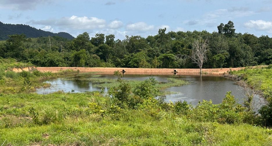 For sale land in Na Yai Am, Chanthaburi