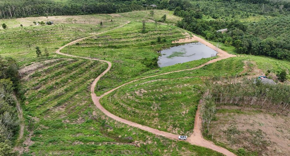 For sale land in Na Yai Am, Chanthaburi