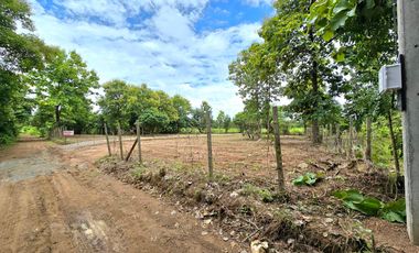 For sale land in Mueang Lamphun, Lamphun