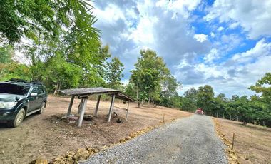 For sale land in Mueang Lamphun, Lamphun