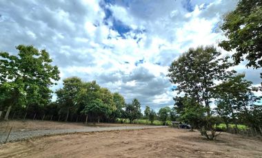 For sale land in Mueang Lamphun, Lamphun