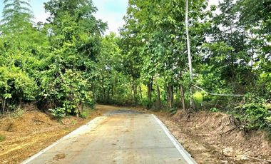 For sale land in Mueang Lamphun, Lamphun
