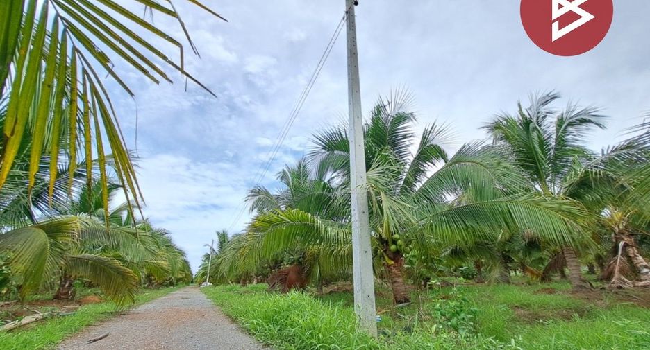 For sale land in Song Phi Nong, Suphan Buri