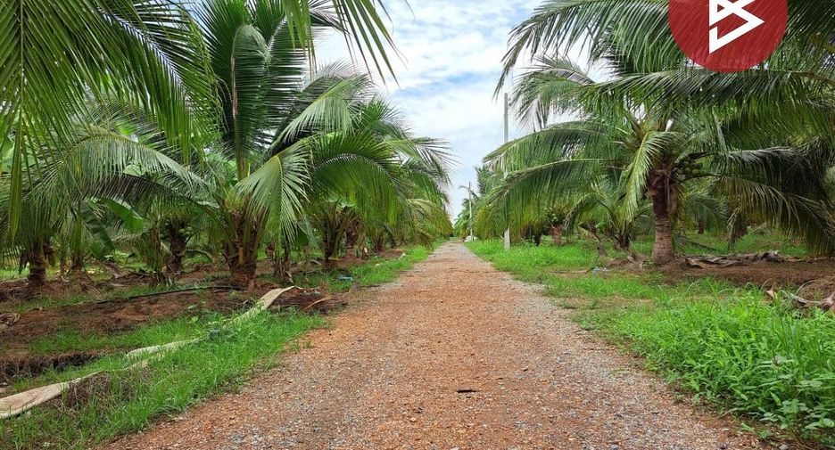 For sale land in Song Phi Nong, Suphan Buri