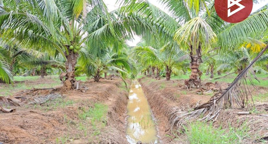 For sale land in Song Phi Nong, Suphan Buri